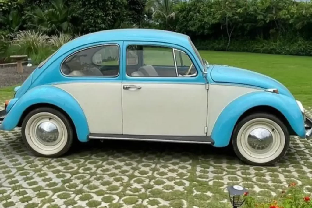 Volkswagen Beetle Car