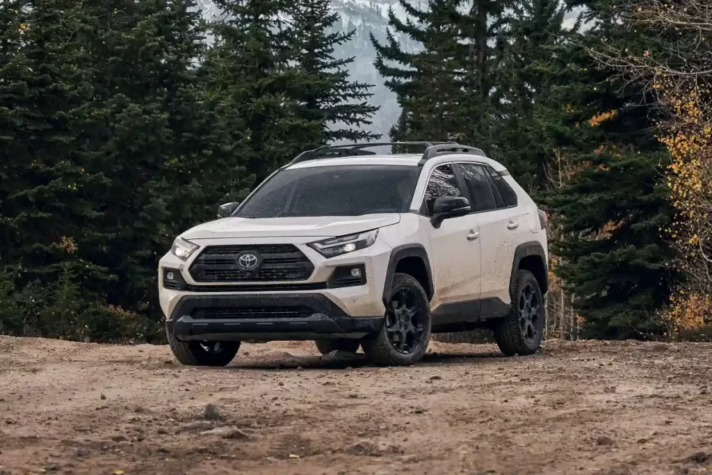 2024 Toyota RAV4 Car Image