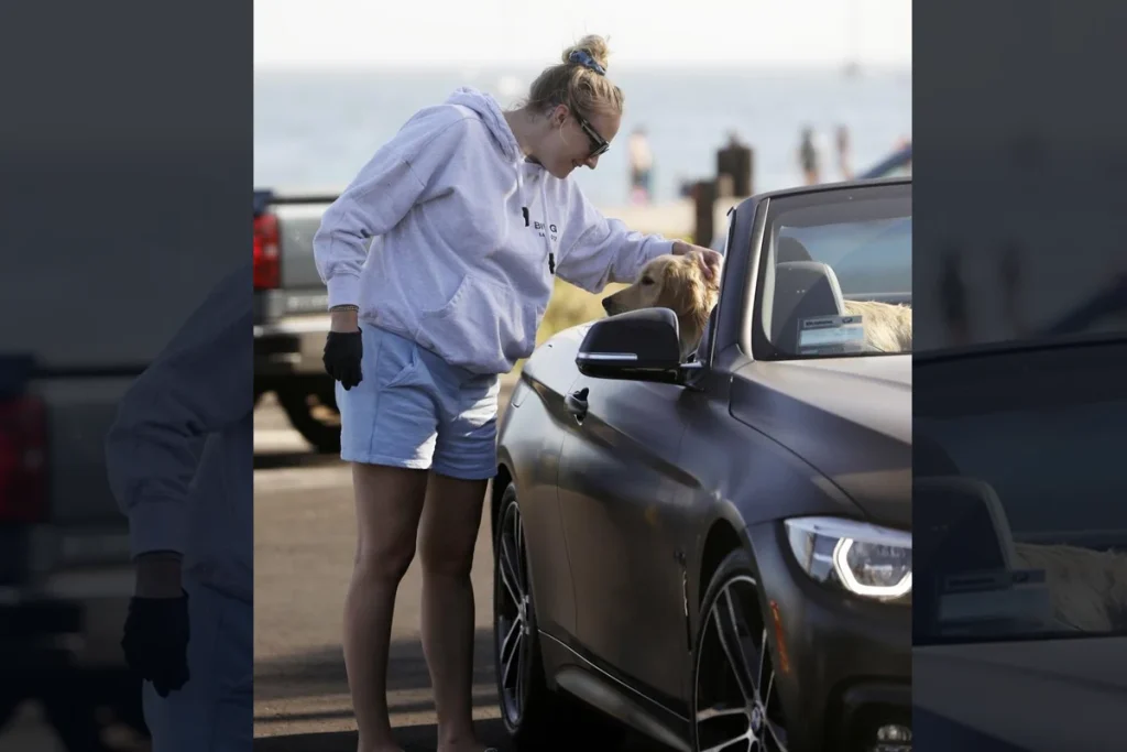 BMW 3 Series Convertible